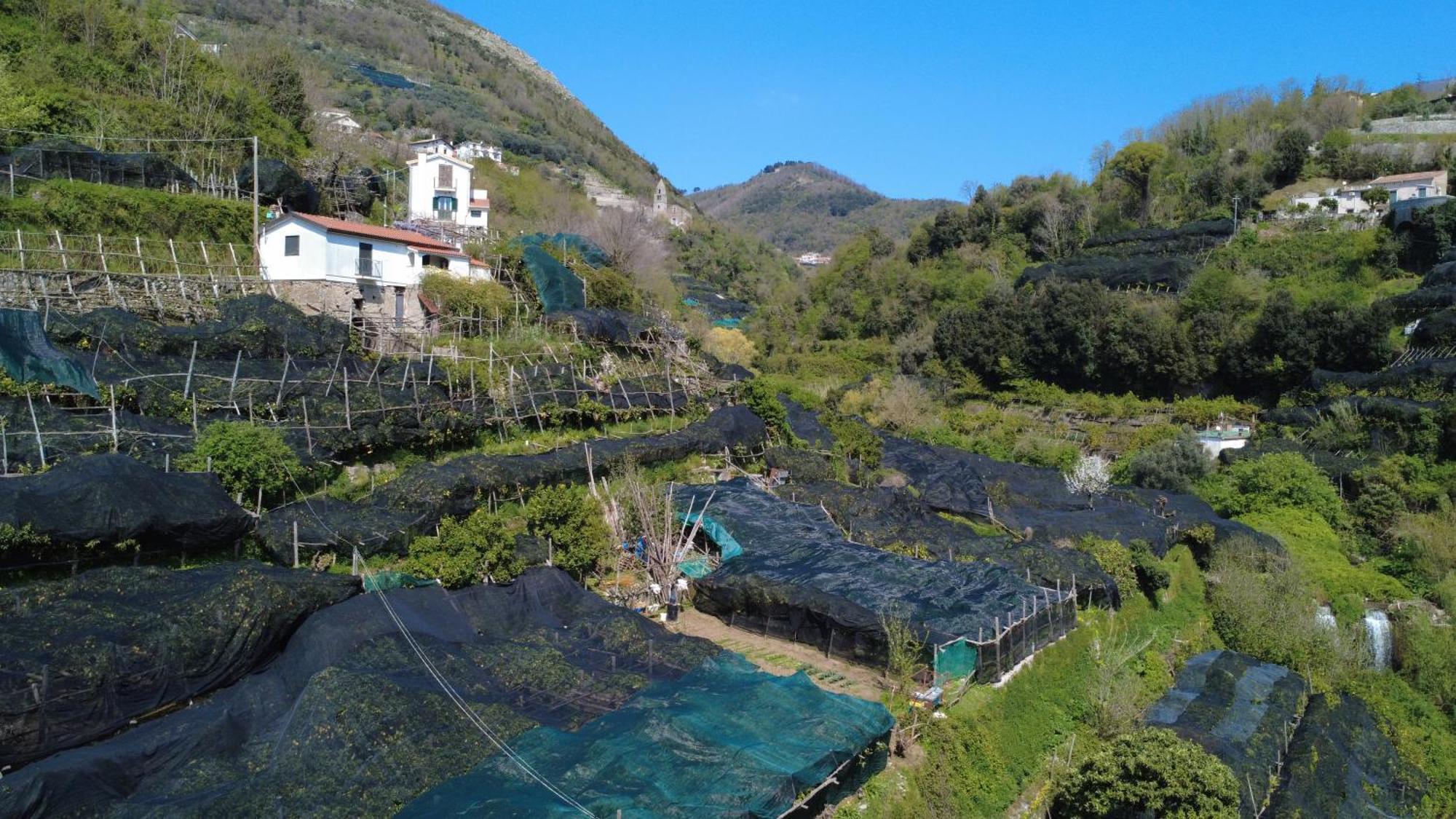 Antica Cartiera Sant'Elia Apartment Tramonti Exterior foto